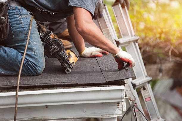 Best Roof Gutter Cleaning  in Lake Mohawk, NJ